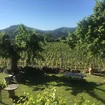 Daire Panoramic View From Stone Apartment- Pool And A/c Montevarchi