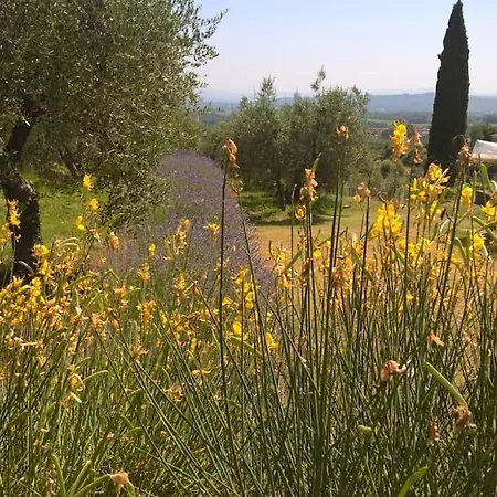 Panoramic View From Stone Apartment- Pool And A/c * Montevarchi