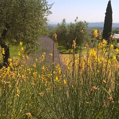 Panoramic View From Stone Apartment- Pool And A/c * Montevarchi