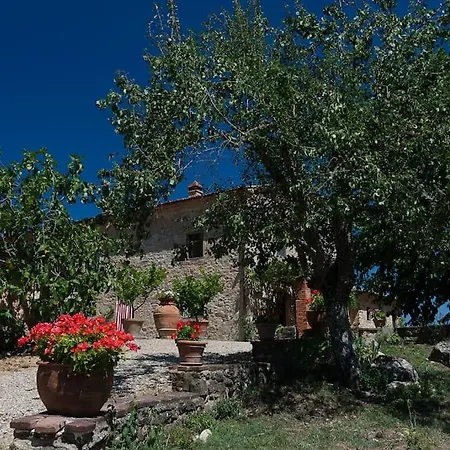 Panoramic View From Stone Apartment- Pool And A/c Apartment Montevarchi